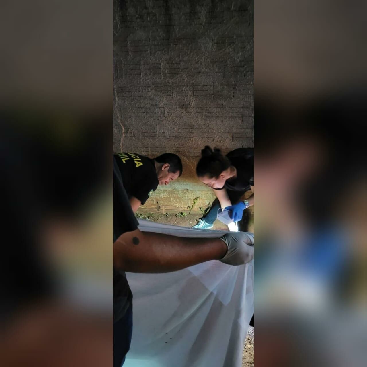 Imagem de compartilhamento para o artigo Idosa foi assassinada na frente dos netos em São Gabriel do Oeste da MS Todo dia
